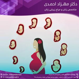 پیدایش قسمتهای مختلف بدن جنین در دوران حاملگی